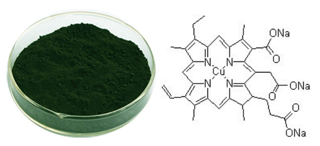 Bột diệp lục Unicity Super Chlorophyll Powder Bột diệp lục Unicity Super Chlorophyll Powder