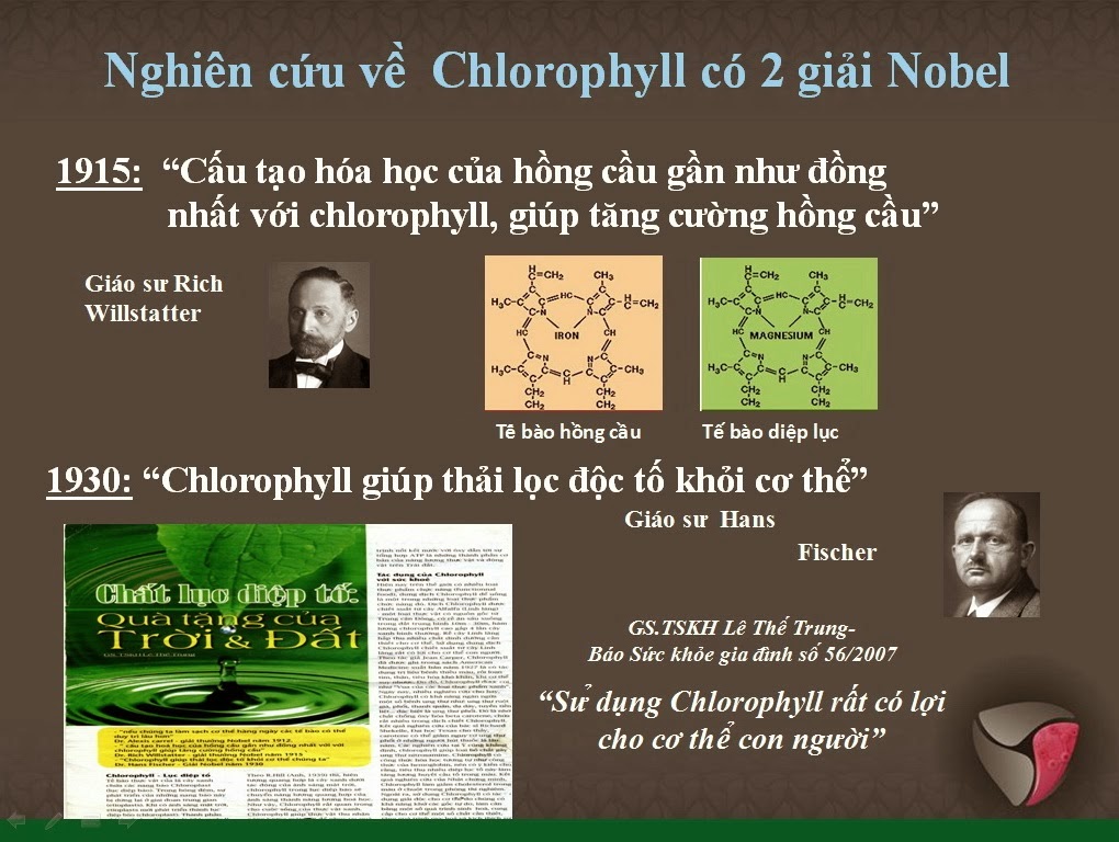 Bột diệp lục Unicity Super Chlorophyll Powder Bột diệp lục Unicity Super Chlorophyll Powder