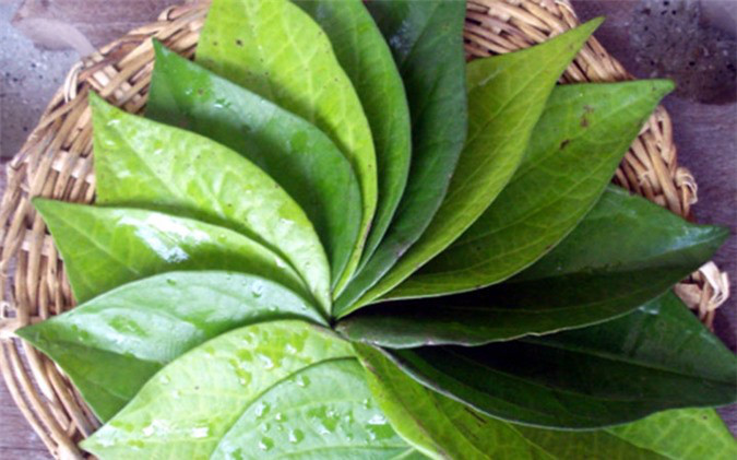 cach-lam-dep-da-bang-la-trau-khong-4. cach-lam-dep-da-bang-la-trau-khong-4