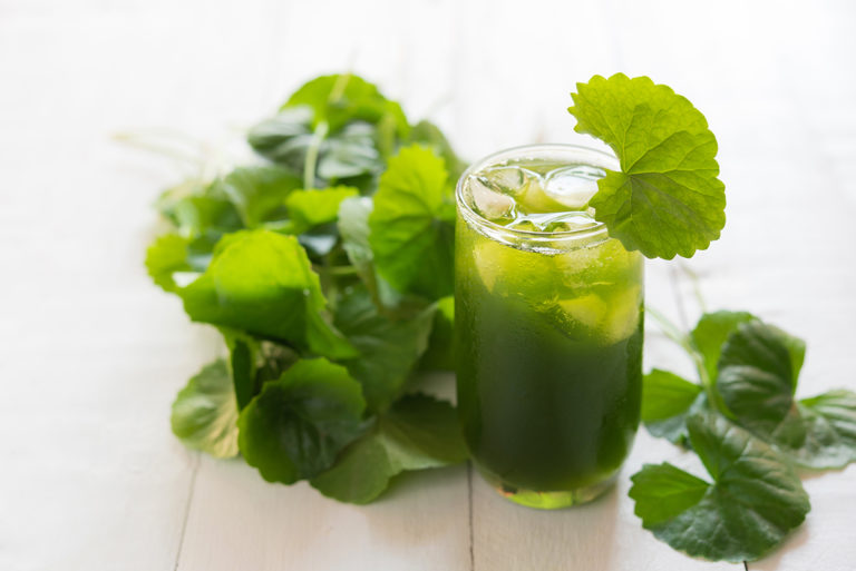 cach-uong-rau-ma-cuc-ki-gay-hai-4 cach-uong-rau-ma-cuc-ki-gay-hai-4