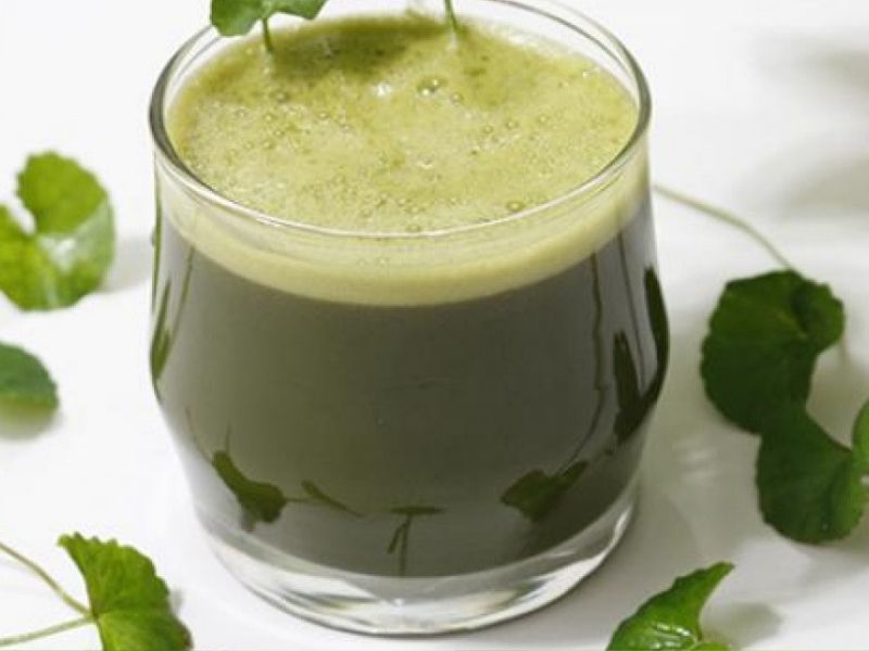 /cach-uong-rau-ma-cuc-ki-gay-hai-6 /cach-uong-rau-ma-cuc-ki-gay-hai-6