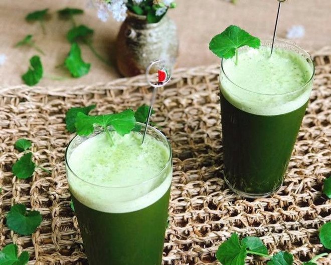 cach-uong-rau-ma-cuc-ki-gay-hai-7 cach-uong-rau-ma-cuc-ki-gay-hai-7