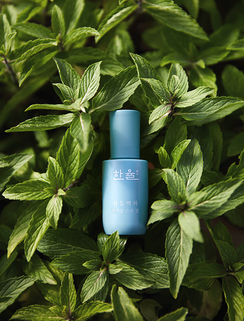 gel-tri-mun-va-phuc-hoi-cho-da-bi-mun-hanyul-mentha-trouble-spot-gel gel-tri-mun-va-phuc-hoi-cho-da-bi-mun-hanyul-mentha-trouble-spot-gel