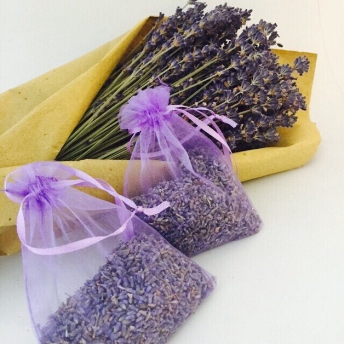 hoa-lavender-oai-huong-thom-duoc-bao-lau hoa-lavender-oai-huong-thom-duoc-bao-lau