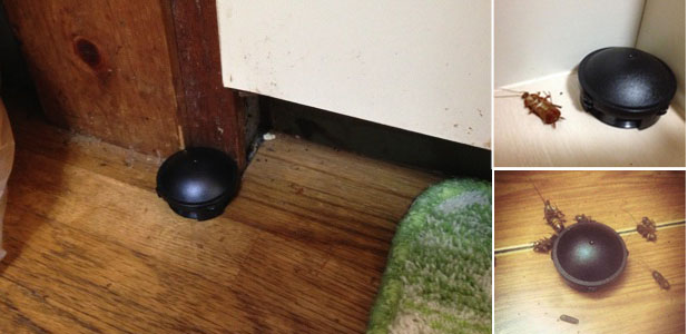 hop-12-vien-thuoc-diet-gian-nhat-ban-barracks-cap-nho-hop-chat-fipronil hop-12-vien-thuoc-diet-gian-nhat-ban-barracks-cap-nho-hop-chat-fipronil