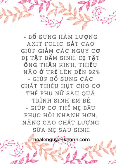 hop-elevit-vitamin-cua-bayer-uc-danh-cho-ba-bau