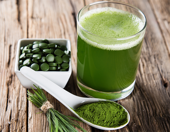 hop-tao-xoan-spirulina hop-tao-xoan-spirulina