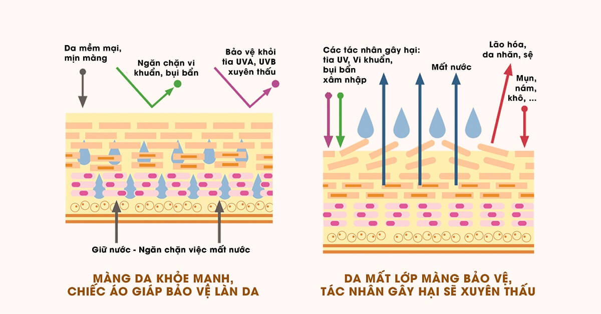 tai-sao-cac-nang-can-phai-su-dung-toner-de-cham-soc-da tai-sao-cac-nang-can-phai-su-dung-toner-de-cham-soc-da
