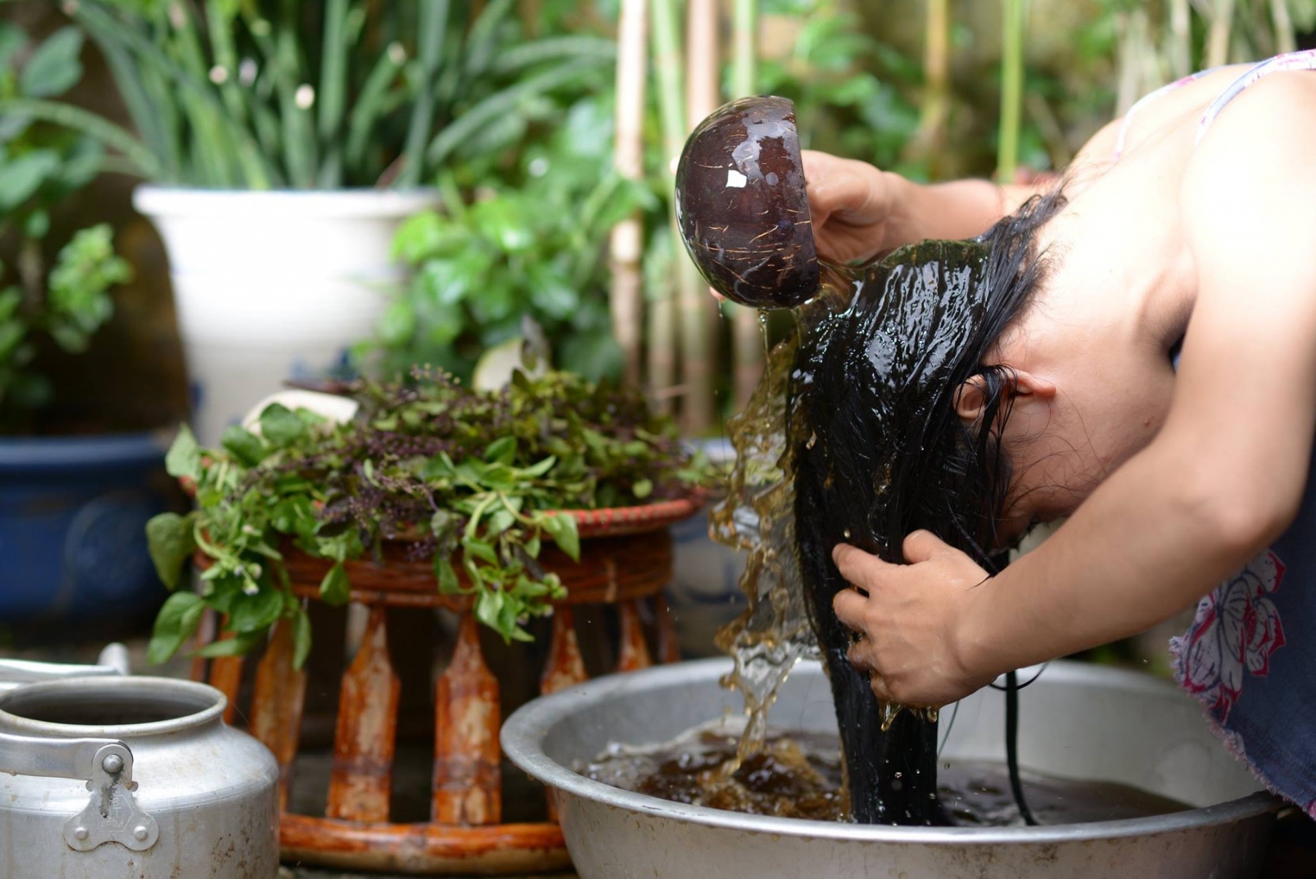 xua-tan-noi-lo-nam-va-gau-da-dau-bang-sa xua-tan-noi-lo-nam-va-gau-da-dau-bang-sa