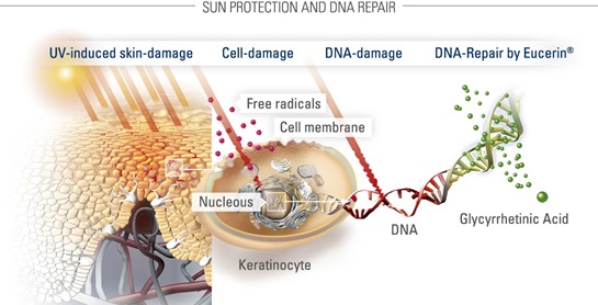 kem-chong-nang-dang-long-eucerin-sun-fluid-mattifying-spf50-50ml kem-chong-nang-dang-long-eucerin-sun-fluid-mattifying-spf50-50ml