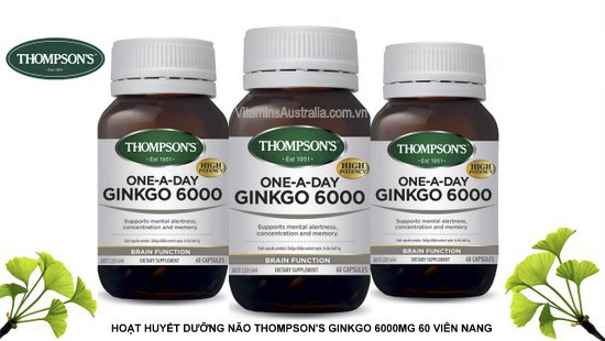 lo-thuoc-bo-nao-thompson-ginkgo-6000mg-60-vien lo-thuoc-bo-nao-thompson-ginkgo-6000mg-60-vien