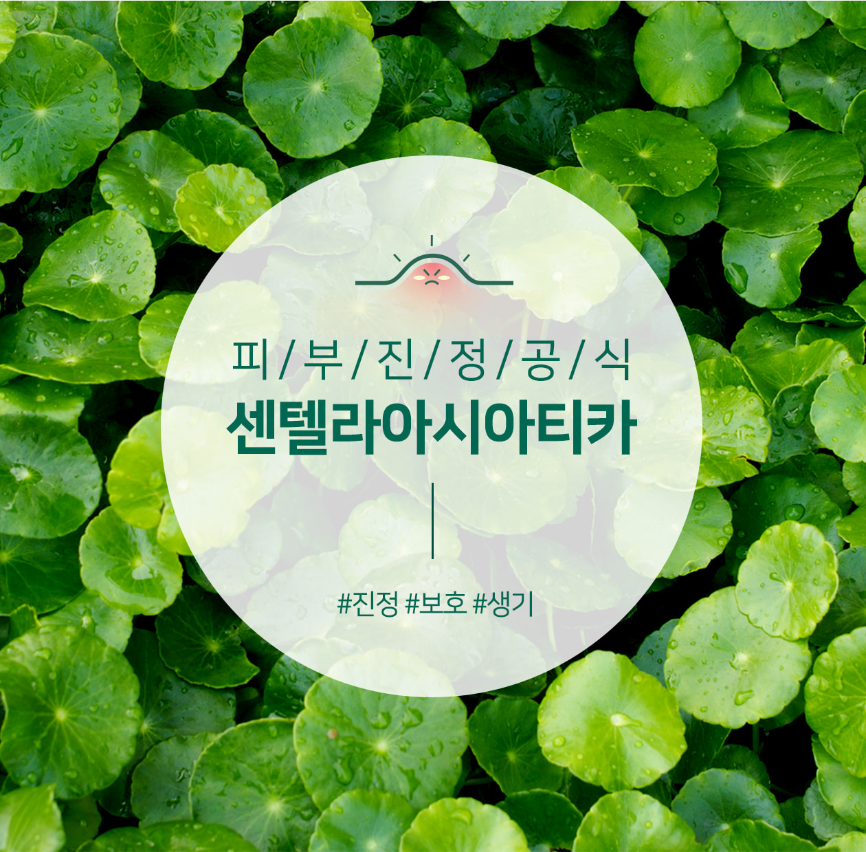 serum-tri-mun-tham-aha-bha-pha-30-days-miracle-cua-some-by-mi serum-tri-mun-tham-aha-bha-pha-30-days-miracle-cua-some-by-mi