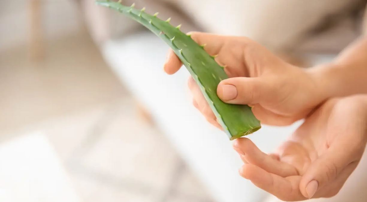 chay-nang-cach-khac-phuc-tinh-trang-da-chay-nang-va-phuc-hoi-da-chay-nang chay-nang-cach-khac-phuc-tinh-trang-da-chay-nang-va-phuc-hoi-da-chay-nang