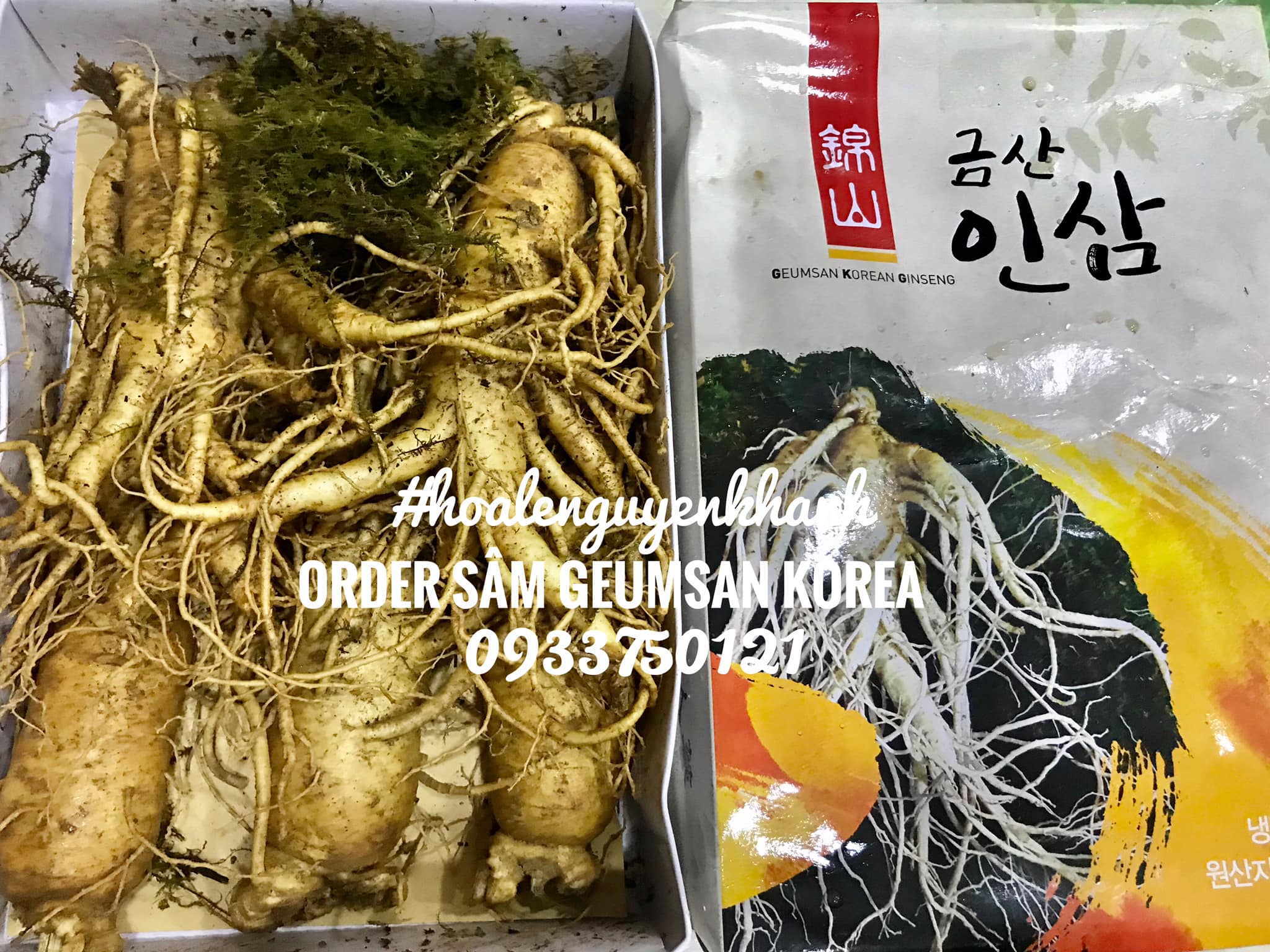 Order Sâm Geumsan Hàn Quốc