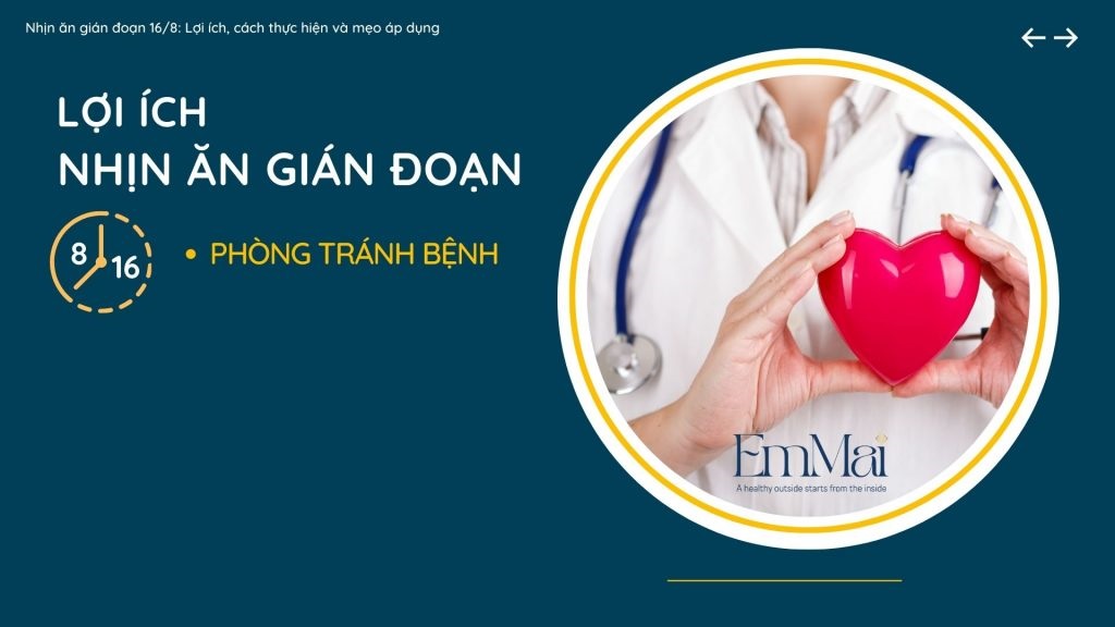 phuong-phap-nhin-an-gian-doan-16-8-va-cong-dung-trong-viec-giam-can phuong-phap-nhin-an-gian-doan-16-8-va-cong-dung-trong-viec-giam-can