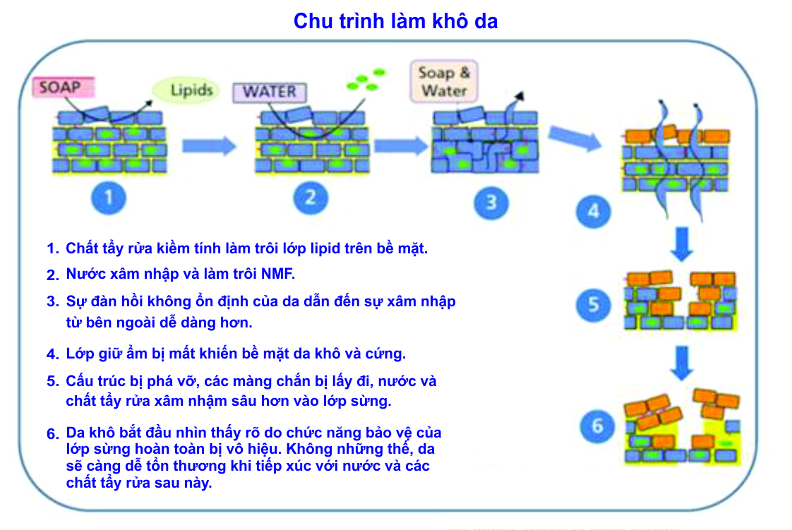 xu-ly-hien-tuong-da-mat-bi-troc-vay-trang xu-ly-hien-tuong-da-mat-bi-troc-vay-trang