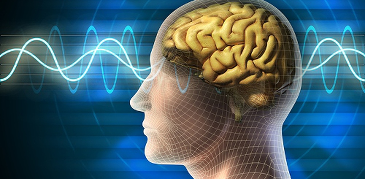 nhung-giai-phap-ren-luyen-su-tap-trung-trong-cuoc-song nhung-giai-phap-ren-luyen-su-tap-trung-trong-cuoc-song