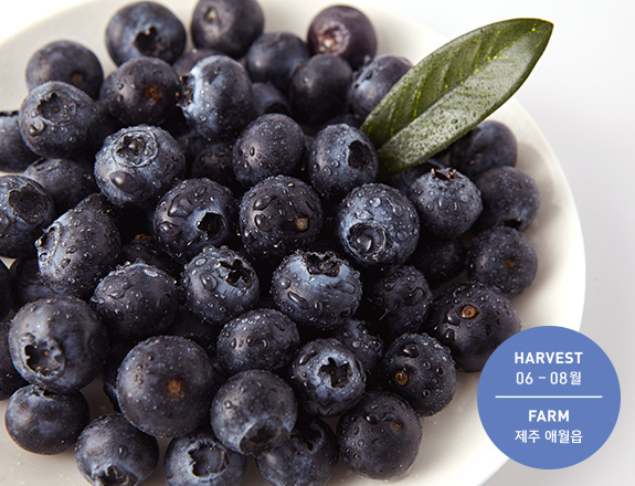 sua-rua-mat-can-bang-do-ph-innisfree-blueberry-rebalancing-5-5-cleanser-100ml-chiet-xuat-tu-qua-viet-quat sua-rua-mat-can-bang-do-ph-innisfree-blueberry-rebalancing-5-5-cleanser-100ml-chiet-xuat-tu-qua-viet-quat