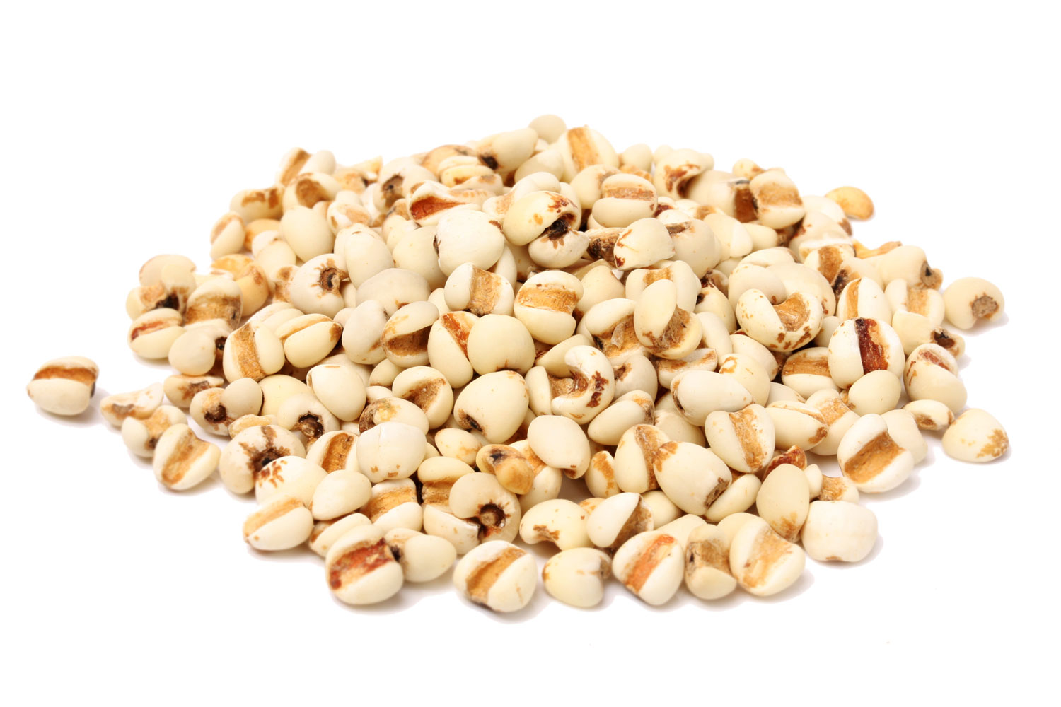 sua-tam-trang-da-duong-am-chiet-xuat-tu-hat-y-di-va-mam-gao-hatomugi-moisturizing-and-washing-800ml sua-tam-trang-da-duong-am-chiet-xuat-tu-hat-y-di-va-mam-gao-hatomugi-moisturizing-and-washing-800ml