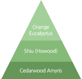 sua-tam-huong-thien-nhien-va-cap-am-toan-than-innisfree-my-essential-body-cleanser sua-tam-huong-thien-nhien-va-cap-am-toan-than-innisfree-my-essential-body-cleanser