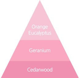 sua-tam-huong-thien-nhien-va-cap-am-toan-than-innisfree-my-essential-body-cleanser sua-tam-huong-thien-nhien-va-cap-am-toan-than-innisfree-my-essential-body-cleanser