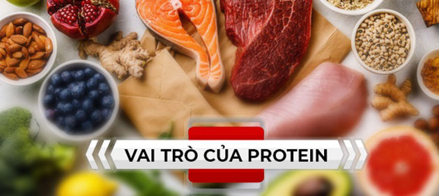 thuc-pham-bao-ve-suc-khoe-dam-dau-nanh-tu-nhien-unicity-soy-protein-dap-ung-nhu-cau-protein-cho-co-the thuc-pham-bao-ve-suc-khoe-dam-dau-nanh-tu-nhien-unicity-soy-protein-dap-ung-nhu-cau-protein-cho-co-the
