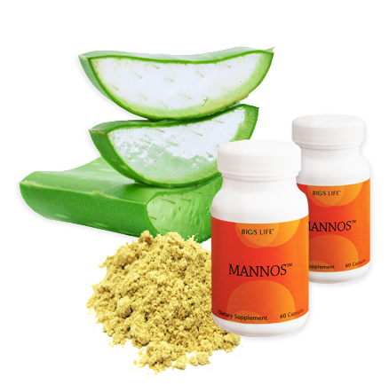 thuc-pham-cham-soc-suc-khoe-unicity-bios-life-mannos-tang-cuong-he-mien-dich-va-suc-de-khang-cua-co-the thuc-pham-cham-soc-suc-khoe-unicity-bios-life-mannos-tang-cuong-he-mien-dich-va-suc-de-khang-cua-co-the