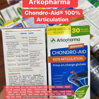 Thuốc bổ xương khớp của Pháp Arkopharma Chondro-Aid Arkoflex Fort 120 viên