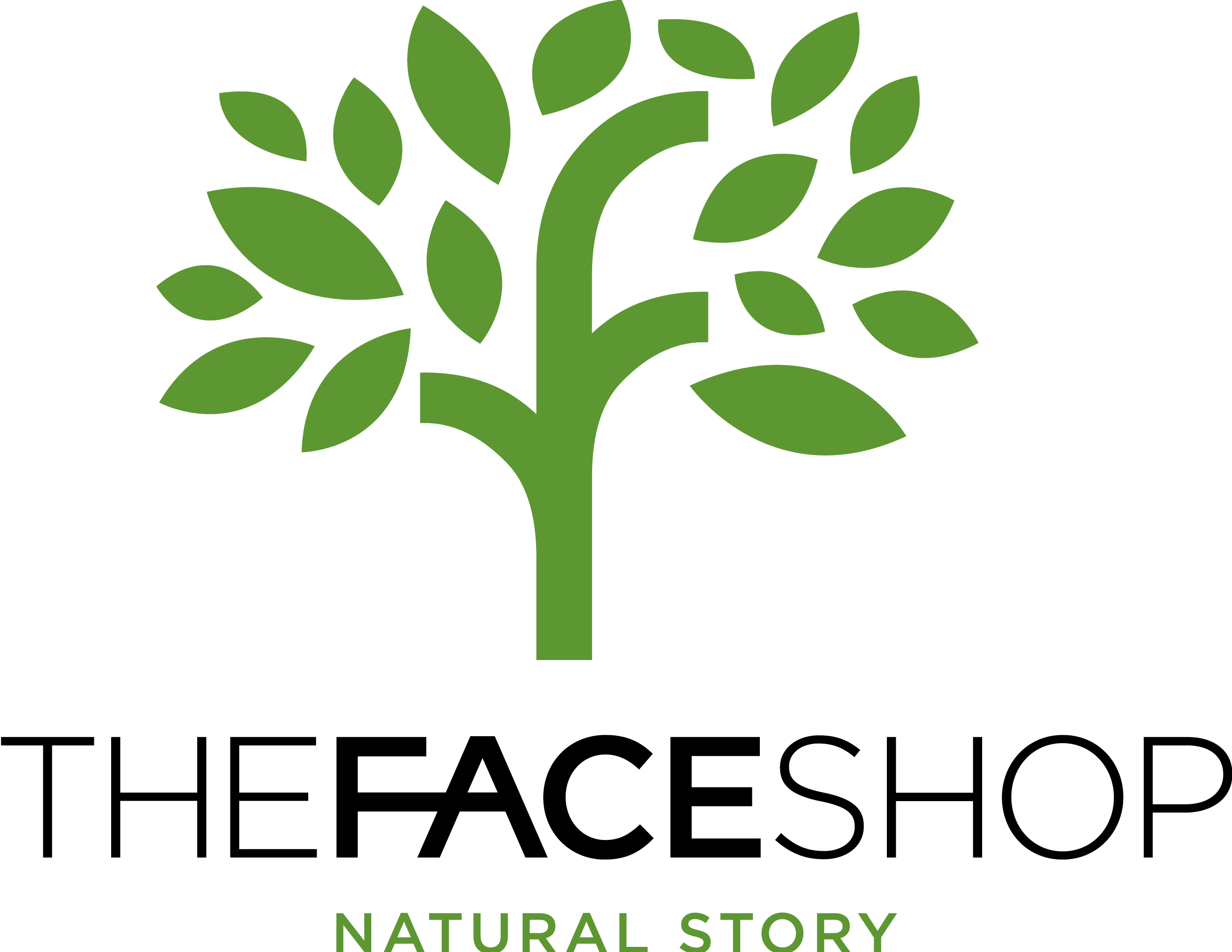 the face shop logo