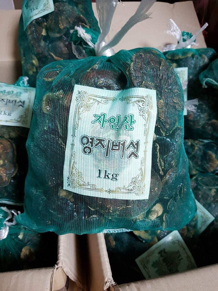 tong-hop-cong-dung-cua-nam-linh-chi-nui-han-quoc tong-hop-cong-dung-cua-nam-linh-chi-nui-han-quoc