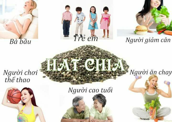 tui-hat-chia-den-uc-500g-black-bag-chia tui-hat-chia-den-uc-500g-black-bag-chia