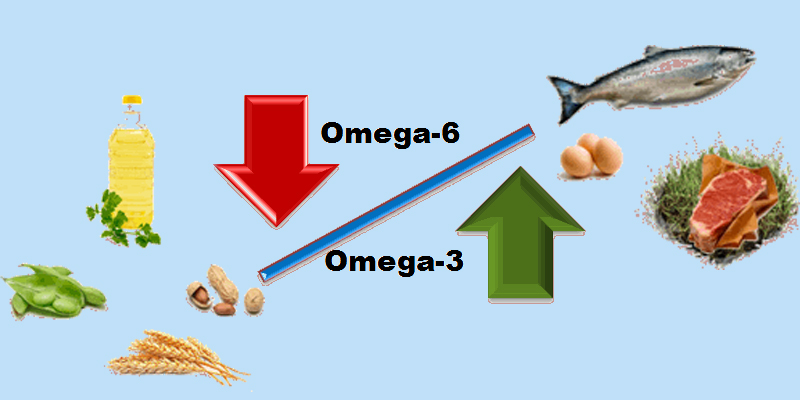 ty-le-omega-3-and-omega-6-nhu-the-nao-la-chuan ty-le-omega-3-and-omega-6-nhu-the-nao-la-chuan