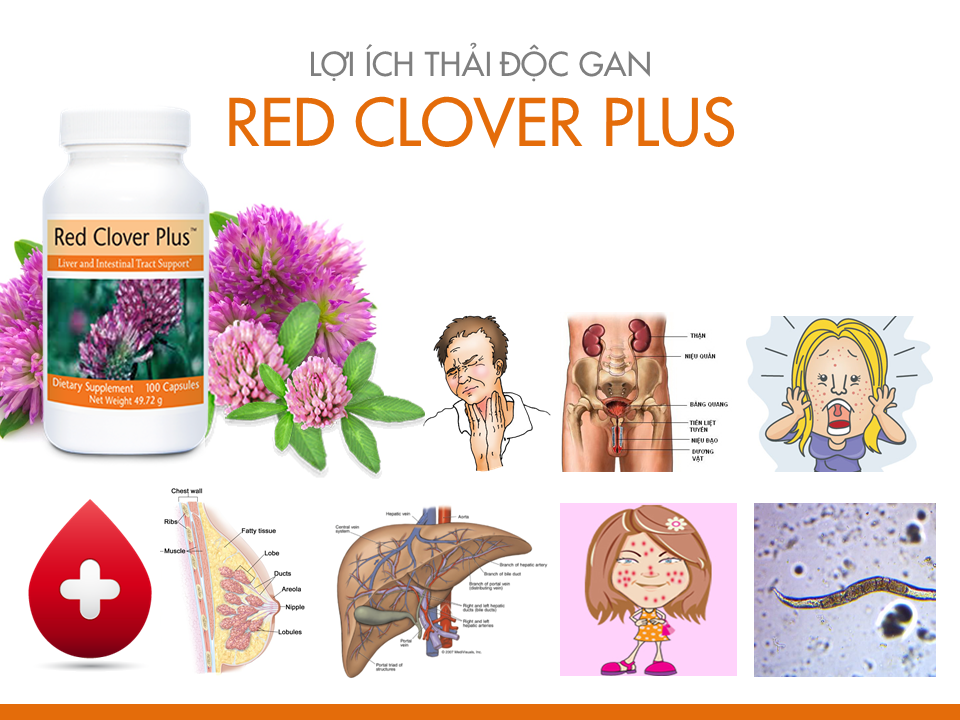vien-uong-ho-tro-thanh-loc-va-tang-cuong-chuc-nang-gan-ho-tro-tieu-hoa-red-clover-plus-unicity vien-uong-ho-tro-thanh-loc-va-tang-cuong-chuc-nang-gan-ho-tro-tieu-hoa-red-clover-plus-unicity