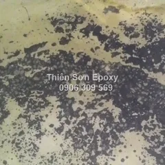 Báo Giá + Thi Công Sơn Epoxy Chống Ăn Mòn Axit, Hóa Chất