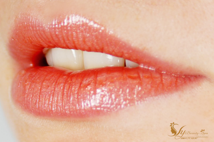 Phun xăm bảng màu phun môi 2021 Phun xăm bảng màu phun môi 2021