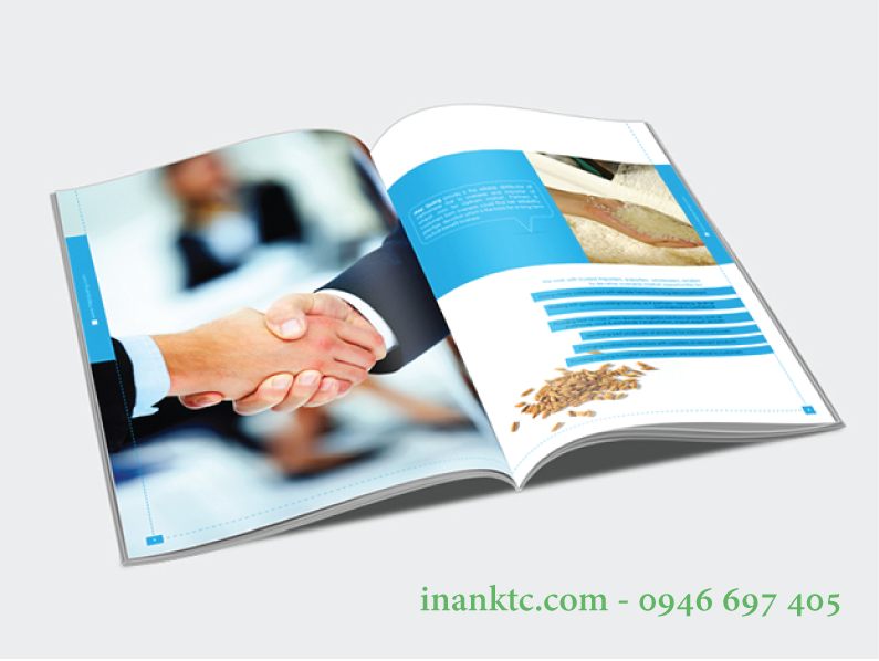 in catalogue tai quận 1