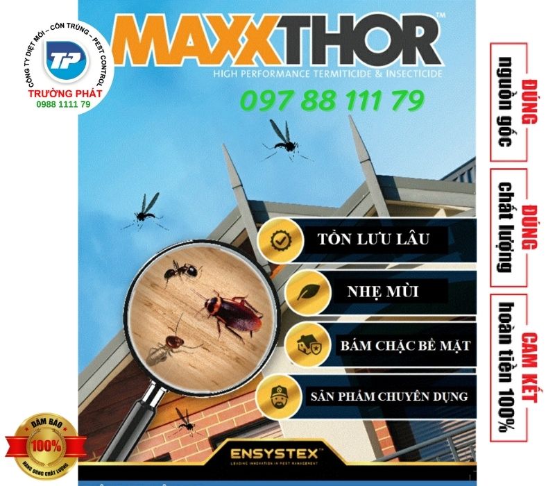 thuốc diệt muỗi maxthor thuốc diệt muỗi maxthor