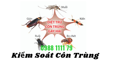 DIỆT CÔN TRÙNG - KIỂM SOÁT CÔN TRÙNG DIỆT CÔN TRÙNG - KIỂM SOÁT CÔN TRÙNG