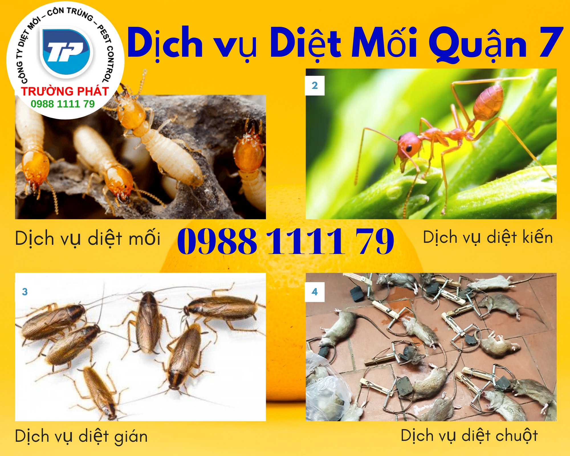 Diệt mối quận 7 Diệt mối quận 7