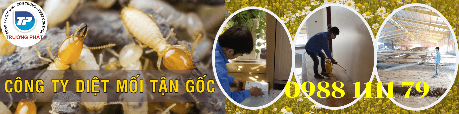 Diệt mối tận gốc tại quận 1 Diệt mối tận gốc tại quận 1