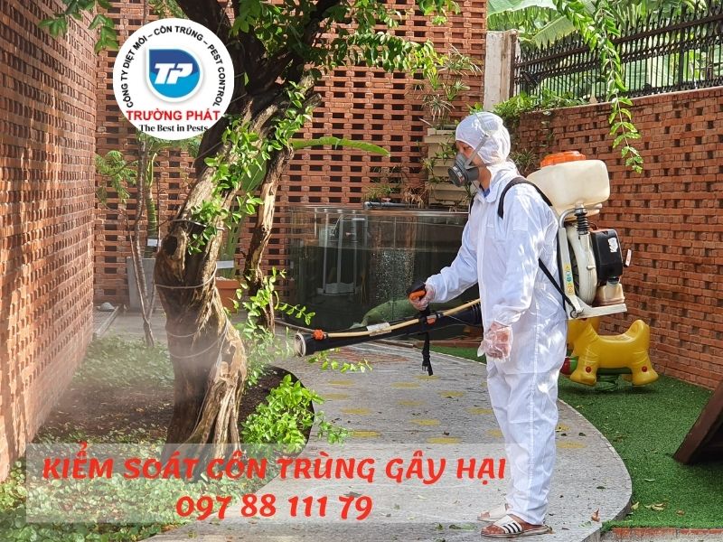 Các Dịch vụ Kiểm soát côn trùng gây hại có Đáng để Đầu tư không Các Dịch vụ Kiểm soát côn trùng gây hại có Đáng để Đầu tư không