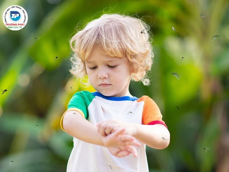 cách diệt muỗi trong phòng để gì để đuổi muỗi cách diệt muỗi trong phòng để gì để đuổi muỗi