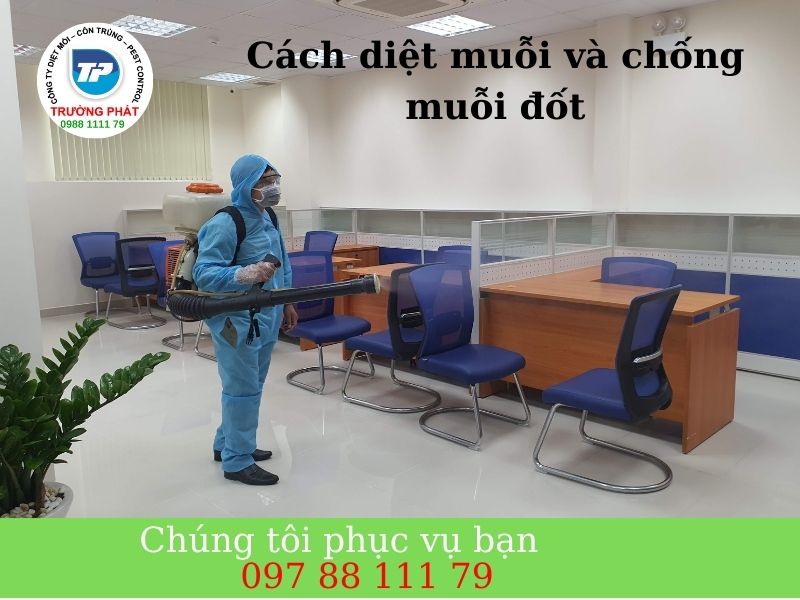 Cách diệt muỗi và chống muỗi đốt hiệu quả Cách diệt muỗi và chống muỗi đốt hiệu quả