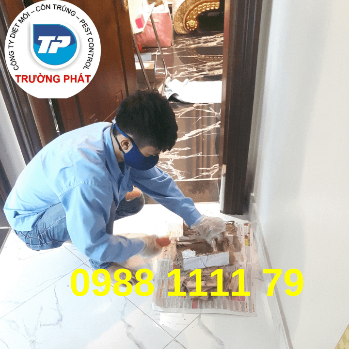 Dịch vụ diệt mối tận gốc Dịch vụ diệt mối tận gốc