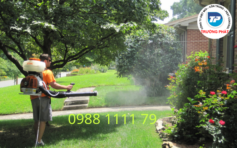 Diệt muỗi tận gốc Diệt muỗi tận gốc