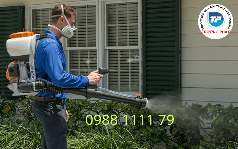 Diệt muỗi tận gốc Diệt muỗi tận gốc