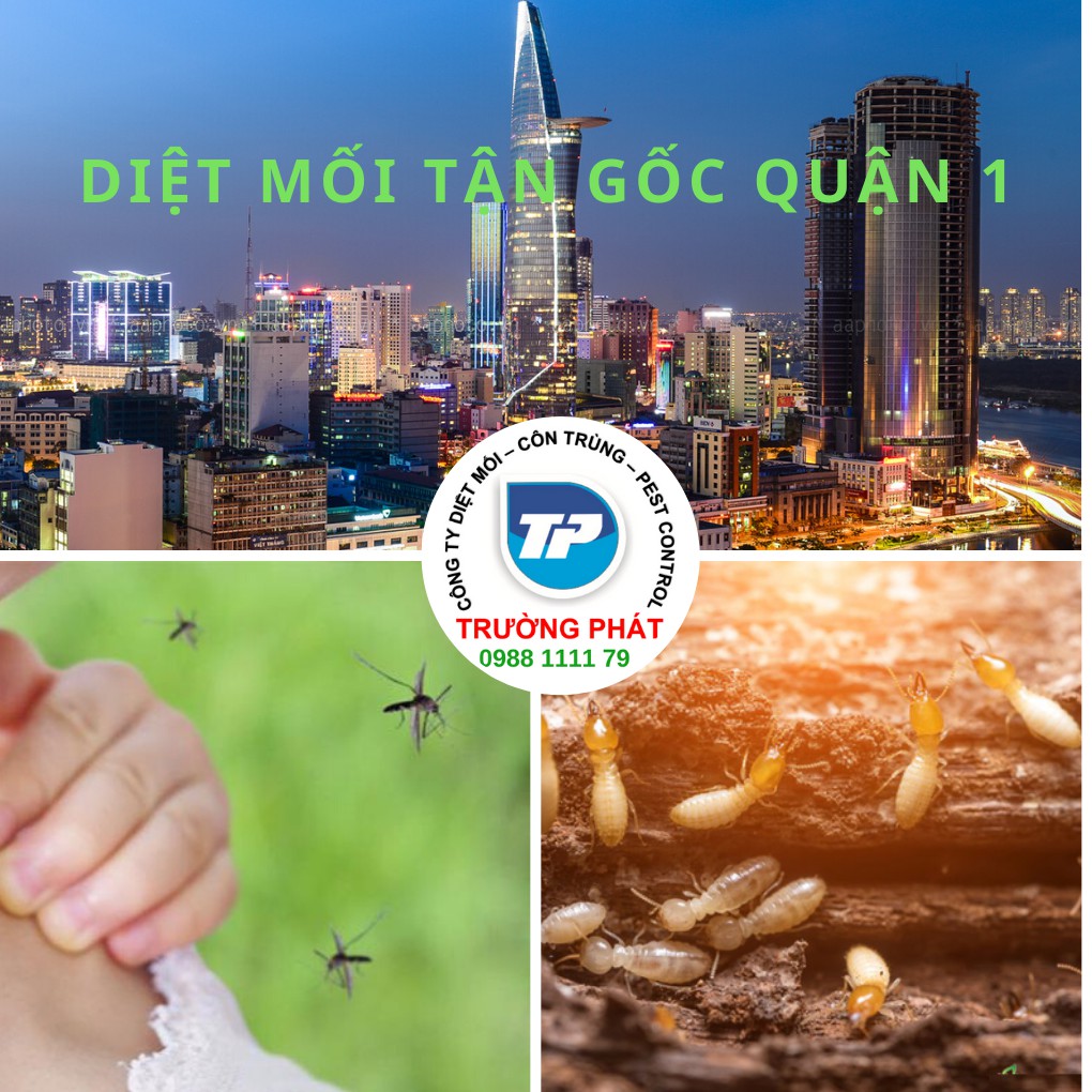 Diệt mối tận gốc tại quận 1 Diệt mối tận gốc tại quận 1