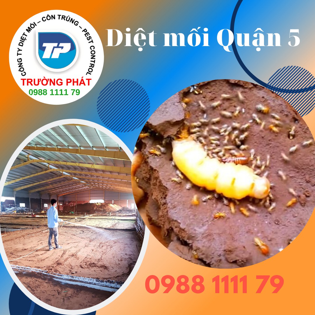 Diệt mối quận 5 Diệt mối quận 5