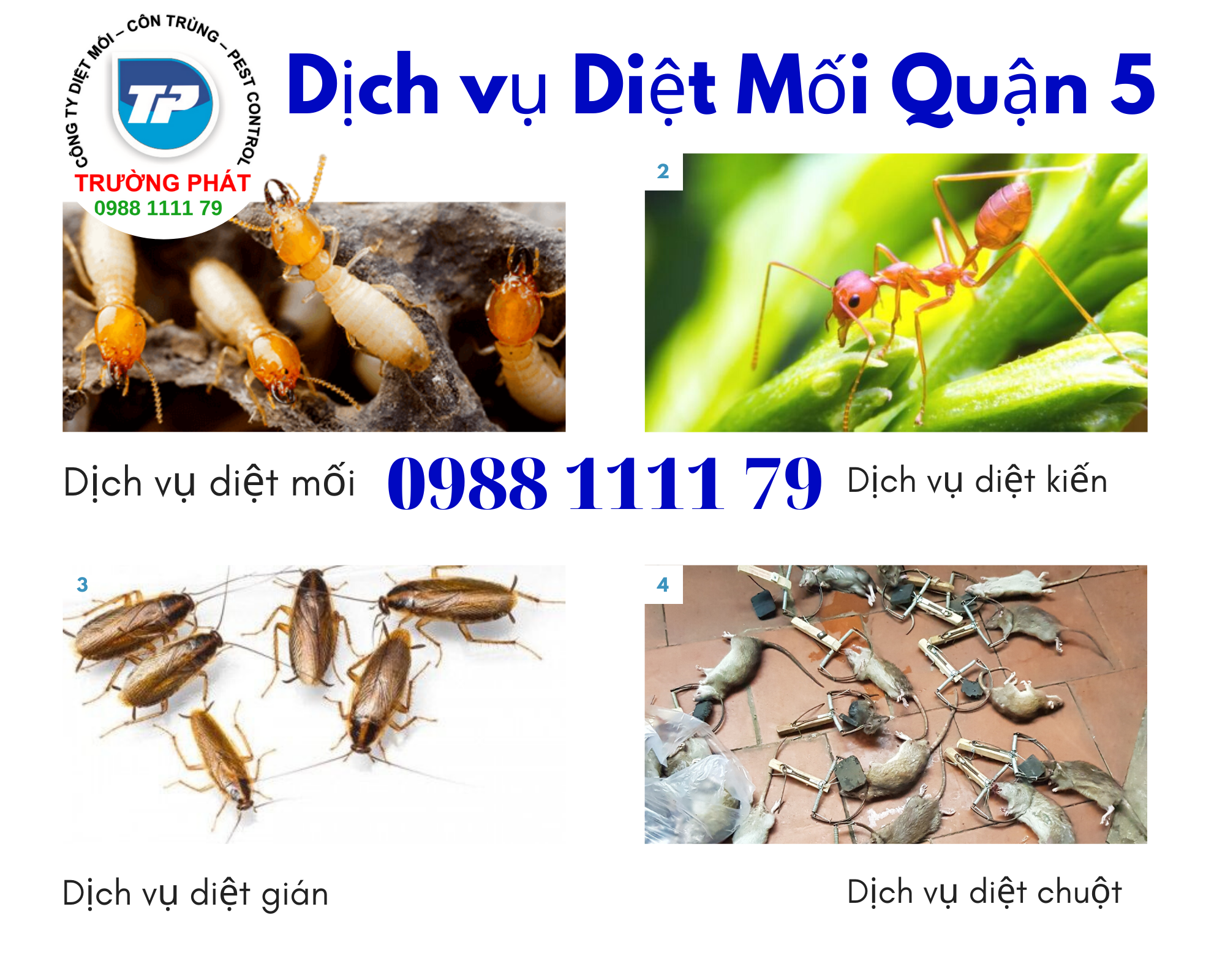 Diệt mối quận 5 Diệt mối quận 5