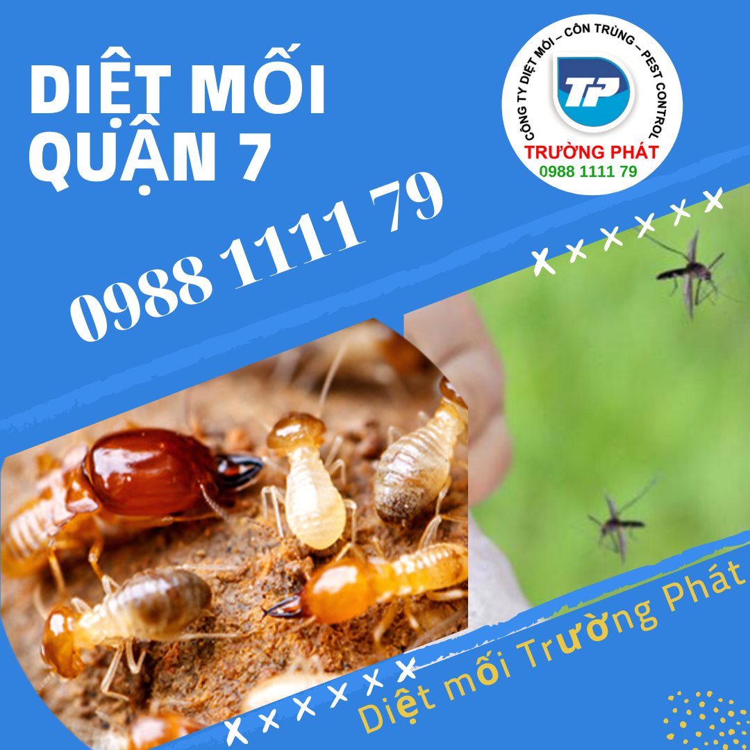Diệt mối quận 7 Diệt mối quận 7